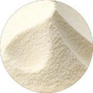 Leche en polvo